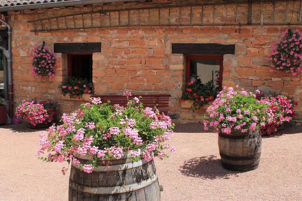 Hotel Restaurant Le Moulin De Saint Verand المظهر الخارجي الصورة